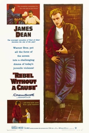 Rebel Without a Cause poster 2