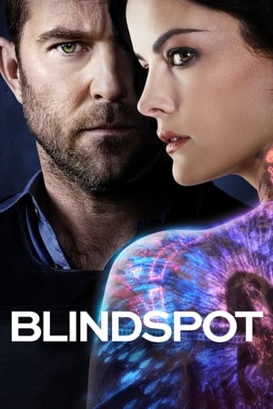 Blindspot, Season 3 poster 0