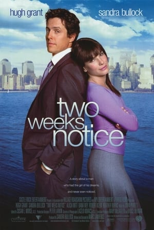 Two Weeks Notice poster 3