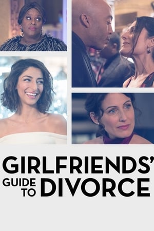 Girlfriends' Guide to Divorce, Season 4 poster 0