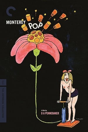 Monterey Pop poster 2