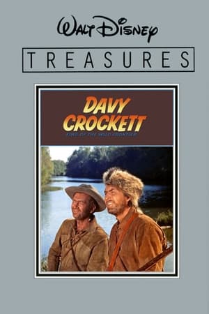 Davy Crockett: King of the Wild Frontier poster 3