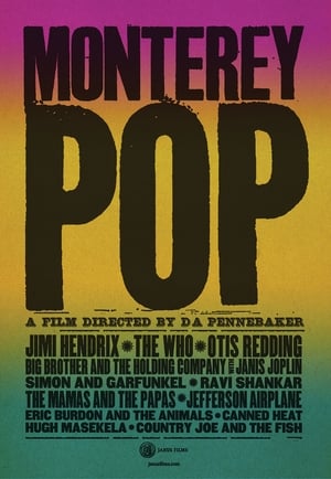 Monterey Pop poster 3