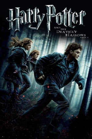 Harry Potter and the Deathly Hallows, Part 1 poster 2