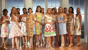 The Stepford Wives (2004) image 5
