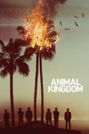 Animal Kingdom, Season 1 poster 3