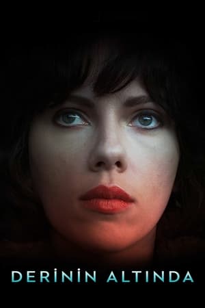 Under the Skin (2014) poster 2