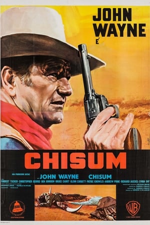 Chisum poster 2