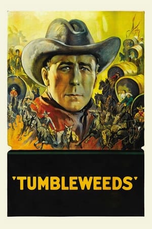 Tumbleweeds (1999) poster 2