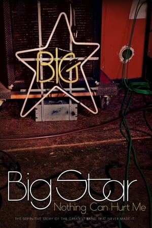 Big Star: Nothing Can Hurt Me poster 2