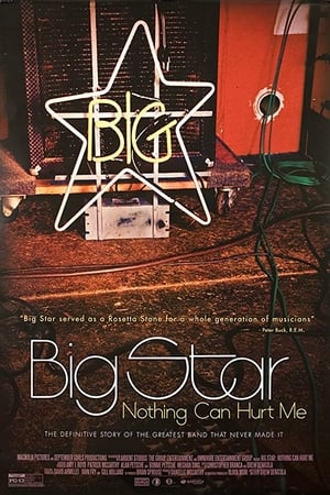 Big Star: Nothing Can Hurt Me poster 4