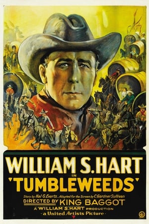 Tumbleweeds (1999) poster 1
