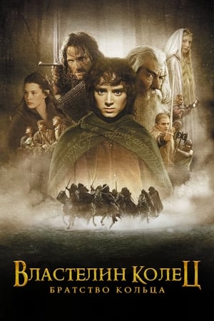 The Lord of the Rings: The Fellowship of the Ring poster 4