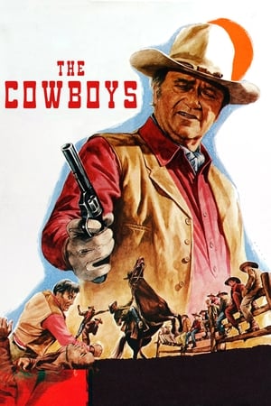 The Cowboys poster 3