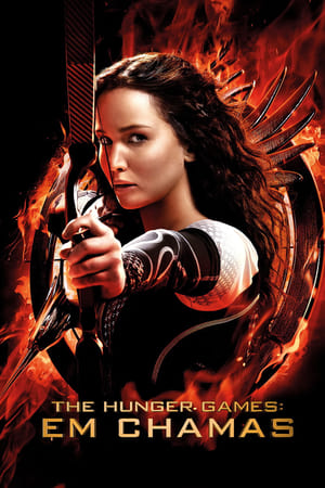 The Hunger Games: Catching Fire poster 3