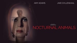 Nocturnal Animals image 3