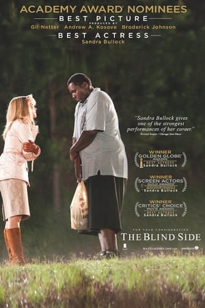 The Blind Side poster 3