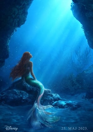 The Mermaid poster 3
