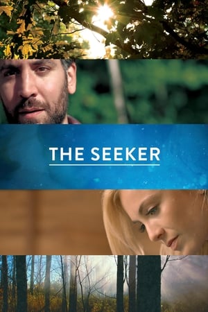 The Seeker poster 1