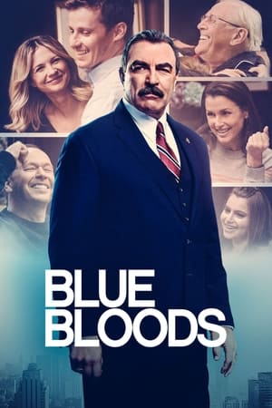 Blue Bloods, Season 8 poster 2