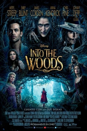 Into the Woods (2014) poster 4