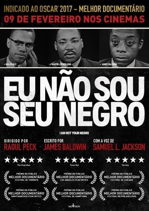 I Am Not Your Negro poster 2