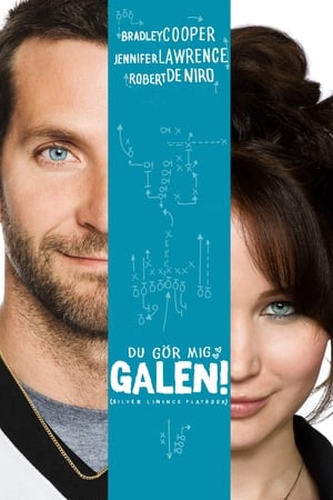 Silver Linings Playbook poster 4