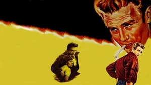 Rebel Without a Cause image 4