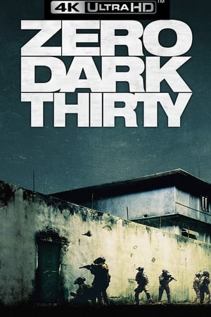 Zero Dark Thirty poster 3