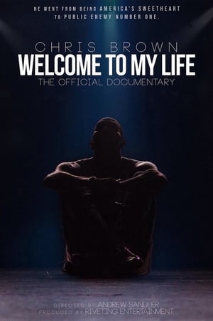 Chris Brown: Welcome to My Life poster 2