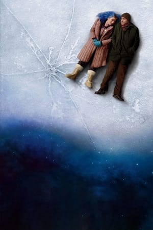Eternal Sunshine of the Spotless Mind poster 1