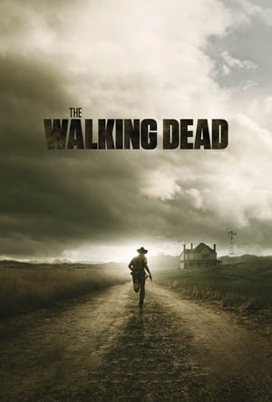 The Walking Dead, Season 8 poster 3