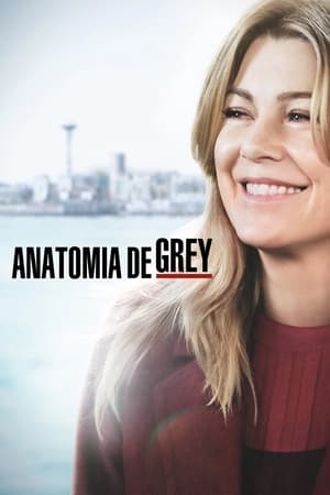Grey's Anatomy, Season 13 poster 3