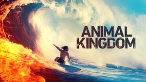 Animal Kingdom, Season 1 image 0