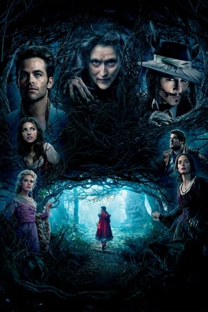 Into the Woods (2014) poster 1