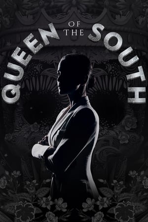 Queen of the South, Season 1 poster 2