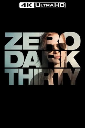 Zero Dark Thirty poster 1