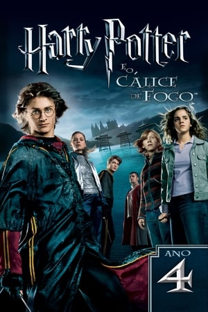 Harry Potter and the Goblet of Fire poster 3