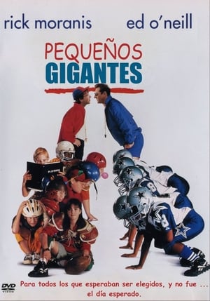 Little Giants poster 4