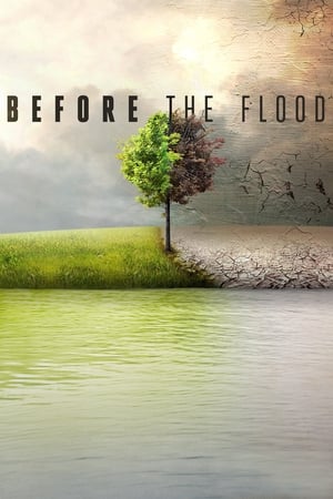 Before the Flood poster 1