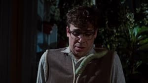 Little Shop of Horrors (1986) image 8