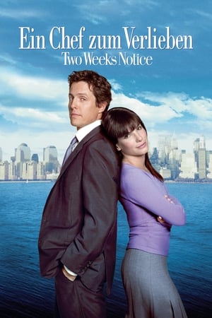 Two Weeks Notice poster 4