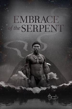 Embrace of the Serpent poster 4