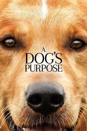 A Dog's Purpose poster 4