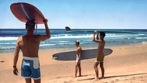 The Endless Summer image 1