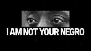 I Am Not Your Negro image 5