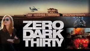 Zero Dark Thirty image 6