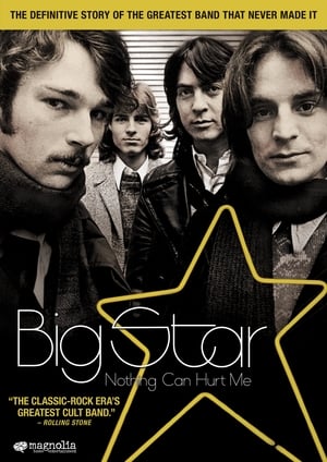 Big Star: Nothing Can Hurt Me poster 3