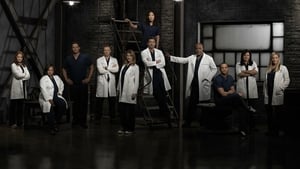 Grey's Anatomy, Season 13 image 2