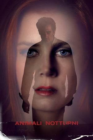Nocturnal Animals poster 4